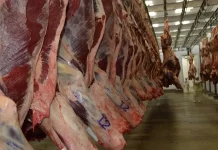 Indonésia autoriza mais 14 frigoríficos do Brasil a exportar carne