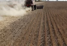 BNDES amplia crédito rural com R$ 15,3 bilhões no Plano Safra