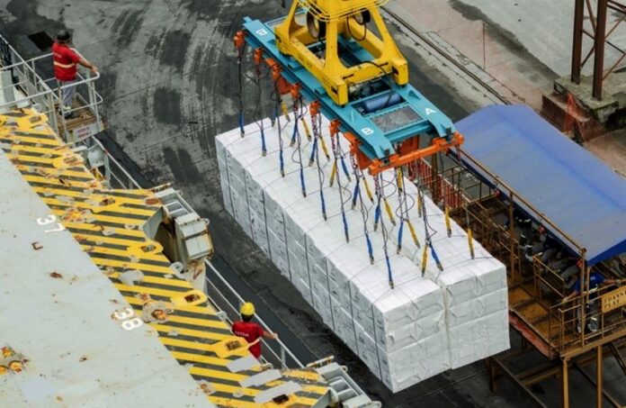 CELULOSE-EXPORTACAO (1)