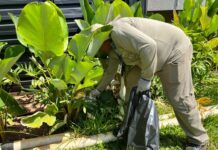 MS antecipa ações e reforça combate ao Aedes aegypti com apoio dos municípios para 2026