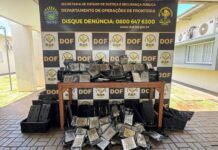 Droga avaliada em R$ 11 milhões é apreendida pelo DOF dentro de carcaças de baterias