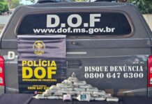 Mulher com drogas amarradas ao corpo é presa pelo DOF