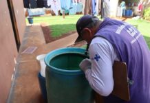 MS registra dois casos de dengue neste início de 2026