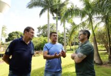 Viveiro Municipal fortalece plano de arborização e garante replantio de árvores em Dourados