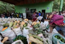 Prefeitura entrega mais 5 toneladas de alimentos às famílias da Reserva Indígena