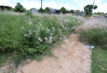 Prefeitura notifica proprietários para roçada e limpeza de terrenos baldios em Dourados