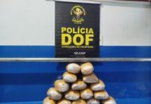 Adolescente com drogas em ônibus é apreendido pelo DOF