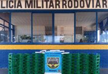 Traficante com 200 quilos de maconha em veículo é preso pela PMR