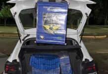 Dupla em veículo com R$ 200 mil em drogas é presa pela PMR