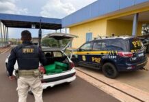 Traficante é flagrado pela PRF com 100 quilos de maconha em veículo