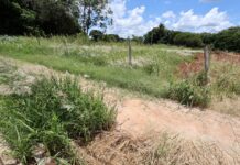 Prefeitura começa a autuar proprietários de terrenos com mato e sujeira no dia 5
