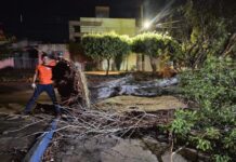 Prefeitura mobiliza força-tarefa após temporal causar estragos em Dourados