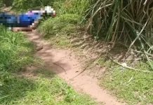 Corpo de mulher de 75 anos é encontrado degolado na fronteira