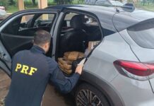 Mulher é flagrada transportando 72 quilos de maconha em veículo
