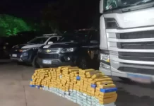 Operação integrada intercepta carga de 250 quilos de maconha
