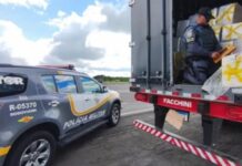 Polícia de SP apreende uma tonelada de maconha que saiu de MS