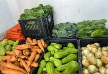 Prefeitura lança edital para compra de alimentos da agricultura familiar para a merenda escolar