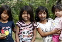 Ministério aperfeiçoa monitoramento de saúde de crianças indígenas