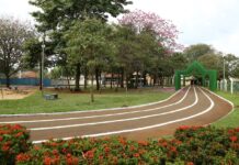 Caminhada Janeiro Branco mobiliza Dourados neste sábado com foco na saúde mental