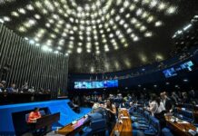 Eleitor vai escolher dois candidatos ao Senado em 2026 e voto duplicado será anulado