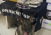 Mulher é presa com quase 15 kg de drogas em ônibus no centro de Dourados