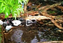 Motociclista fica ferido após ser atingido por árvore durante temporal em Dourados