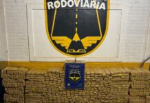 Motorista abandona veículo roubado com mais de meia tonelada de droga