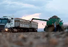 Produção da soja tem previsão de novo recorde na série histórica em 2026