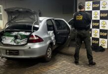 DOF apreende mais de meia tonelada de agrotóxicos e prende condutor de veículo