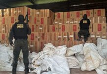 DOF desarticula entreposto e apreende mais de R$ 6 milhões em cigarros