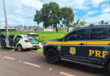 Traficante com mais de uma tonelada de maconha em veículo é preso pela PRF