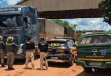 Ação conjunta PRF e Ibama apreende carga de madeira irregular na BR-163