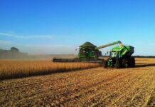 Avanço da colheita da soja e plantio do milho segue abaixo da média histórica em MS