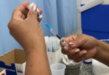 MS soma 780 casos prováveis de dengue em 2026 e mantém vacinação em andamento