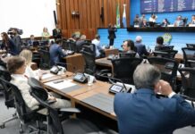 Deputados de MS analisam projeto que pode criar Cadastro Positivo