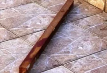 Vizinhos ouvem pedido de socorro e acolhem mulher agredida a pauladas pelo companheiro