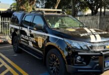 Polícia Civil prende em flagrante autor de série de furtos a comércios em Dourados