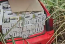 Veículos são abandonados em canavial com carga de cigarros avaliada em R$ 450 mil