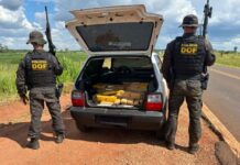 Adolescente de 16 anos é flagrado com carga de droga avaliada em R$ 655 mil