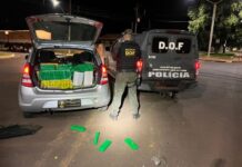 Motorista é preso com quase 200kg de maconha dentro de veículo