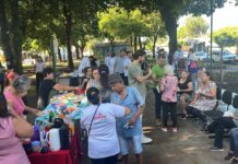 Prefeitura realiza ações do “Março Lilás” e celebra o Dia da Mulher em Dourados