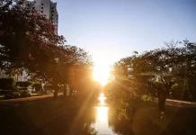 Termômetros na sexta-feira podem marcar 40 graus no sudoeste e Pantanal de MS