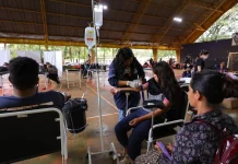 Chikungunya avança em Dourados e atinge 75,9% de taxa de positividade