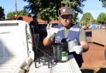Força-tarefa amplia combate à chikungunya com armadilhas e mutirão em bairros críticos