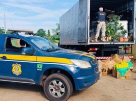 PRF apreende mais de 1,5 tonelada de maconha e prende condutor de caminhão
