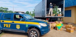 PRF apreende mais de 1,5 tonelada de maconha e prende condutor de caminhão