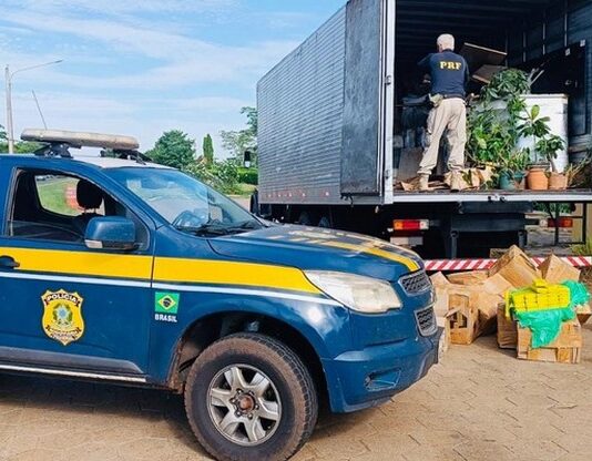 PRF apreende mais de 1,5 tonelada de maconha e prende condutor de caminhão