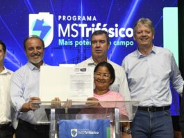 MS Trifásico leva energia ao campo e impulsiona agricultura familiar no Estado