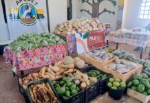 Prefeitura já entregou 76 toneladas de alimentos a indígenas e quilombolas