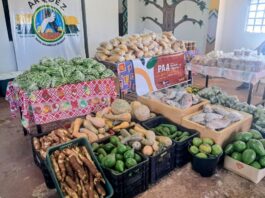 Prefeitura já entregou 76 toneladas de alimentos a indígenas e quilombolas